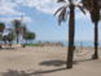 Foto: Strandbild mit Palmen und Schriftzug "Malogueta".