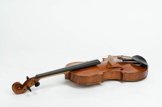 Foto der liegenden Frontansicht der Studienarbeit Violine von Lea Hartkopf, 3.Semester Musikinstrumentenbau, Wintersemester 23/24