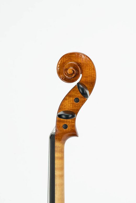 Foto: modernen Violine - Schnecke Diskant