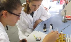 Foto: Zwei Schülerinnen pipetieren Flüssigkeit auf einen PH-Wert Streifen und beobachten die farblichen Veränderungen.