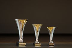 Foto: Die drei Pokale des Schülerinnenwettbewerb nebeneinander gestellt.
