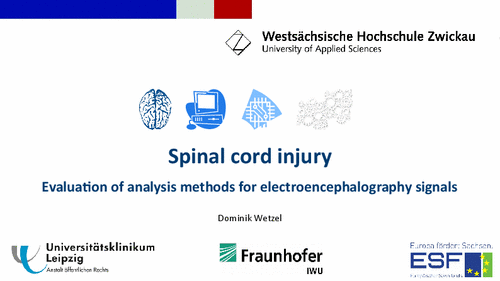PDF: Präsentation. Titel: Spinal cord injury.