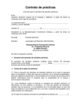 PDF: Spain. Contrato de prácticas.