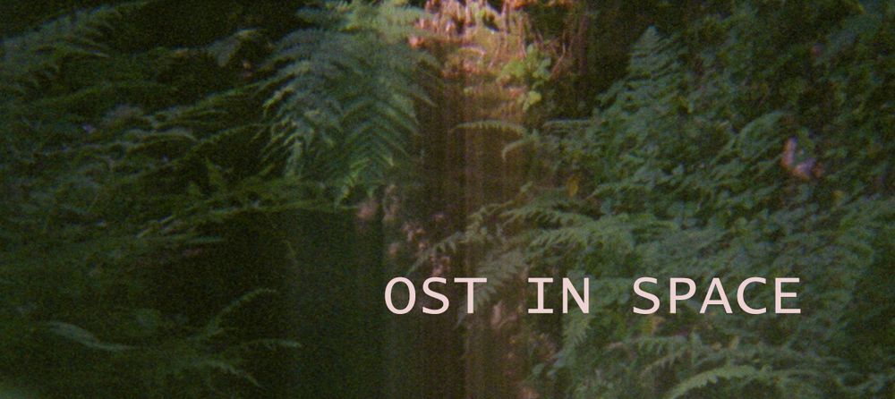 Foto: ältere Farbfotografie eines Waldes, Aufschrift "Ost in Space"