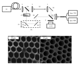 Bild: Ein Papier mit einer grafischer Zeichnung und zwei Vergleichsbildern einer mikroskopisch vergrößerten Struktur.