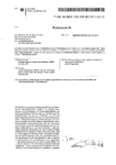 PDF: Patent. Titel: Verfahren zu In-situ spannungsoptischen Erfassung von Belastungszuständen und belastungsbedingten Schädigungen.