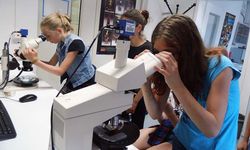 Foto: Zwei Schülerinnen schauen in einem Labor jeweils durch ein Mikroskop. Eine dritte Schülerin steht dahinter und beobachtet.