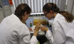 Foto: Zwei Schülerinnen pipetieren Flüssigkeit auf einem PH-Wert Streifen und vergleichen die Veränderungen mit einem Farbschema.