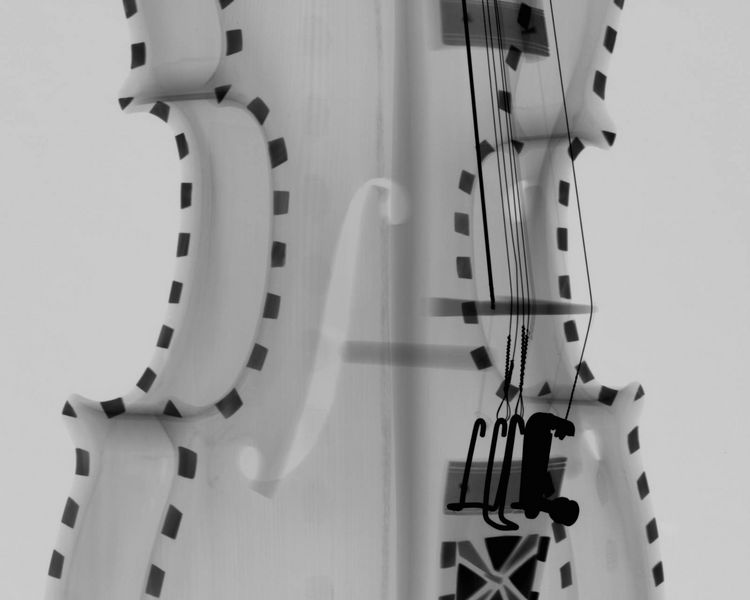 Foto: Untersuchung einer Hardanger Fidel -Geige Mittel 45°