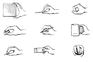 Grafik: 9 Hände halten verschiedene Dinge. Berliner Performance-Künstlerin Anette Rose stellt ihre „Enzyklopädie der Handhabungen“ vor.