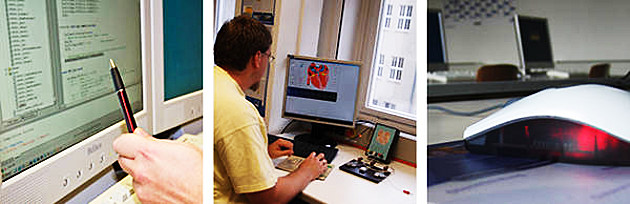 Fotoreihe: Drei Bilder. 1. Bild: Eine Hand zeigt mit einem Stift auf Daten eines Computerbildschirmes. 2. Bild: Ein Mitarbeiter sitzt an seinem Bildschirmarbeitsplatz. 3. Bild: Seitlicher Blick auf eine Computermaus.