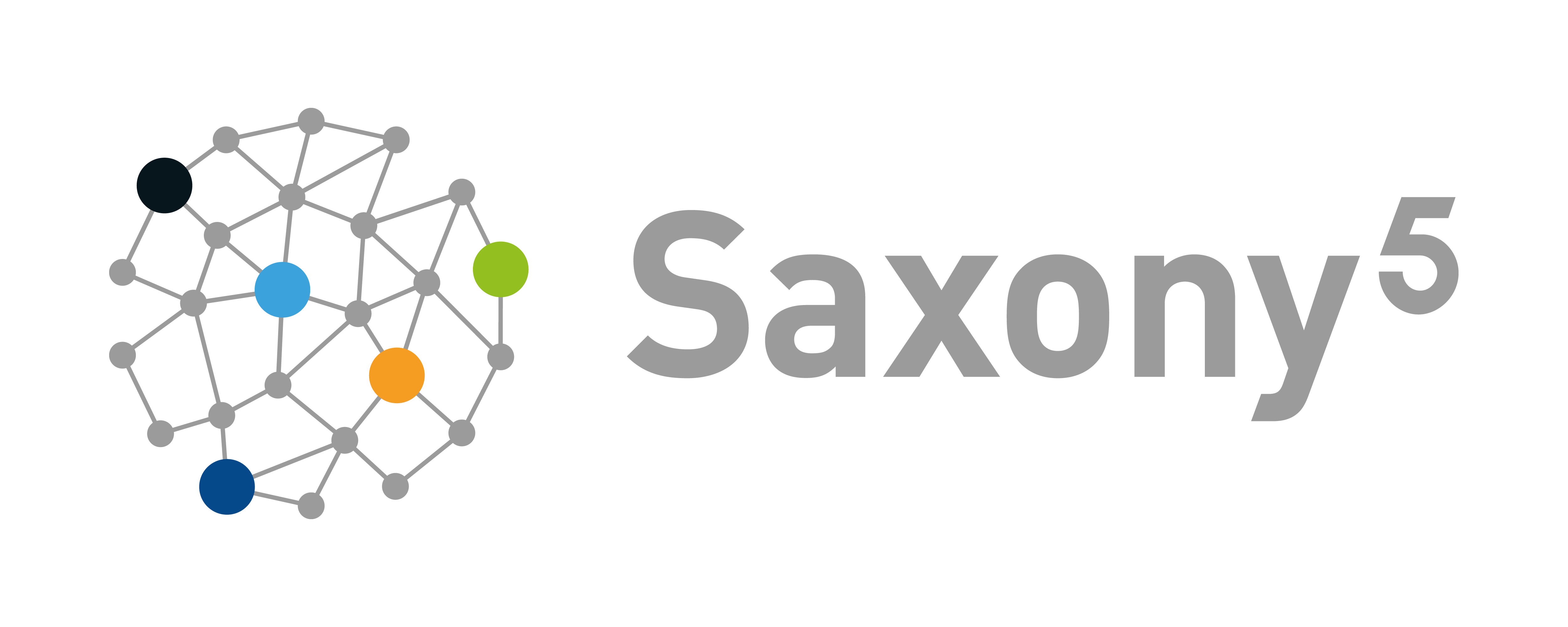 Logo: Saxony 5 - Innovative Hochschule, Transferbund