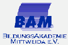 Logo: Bildungsakademie Mittweida e.V.