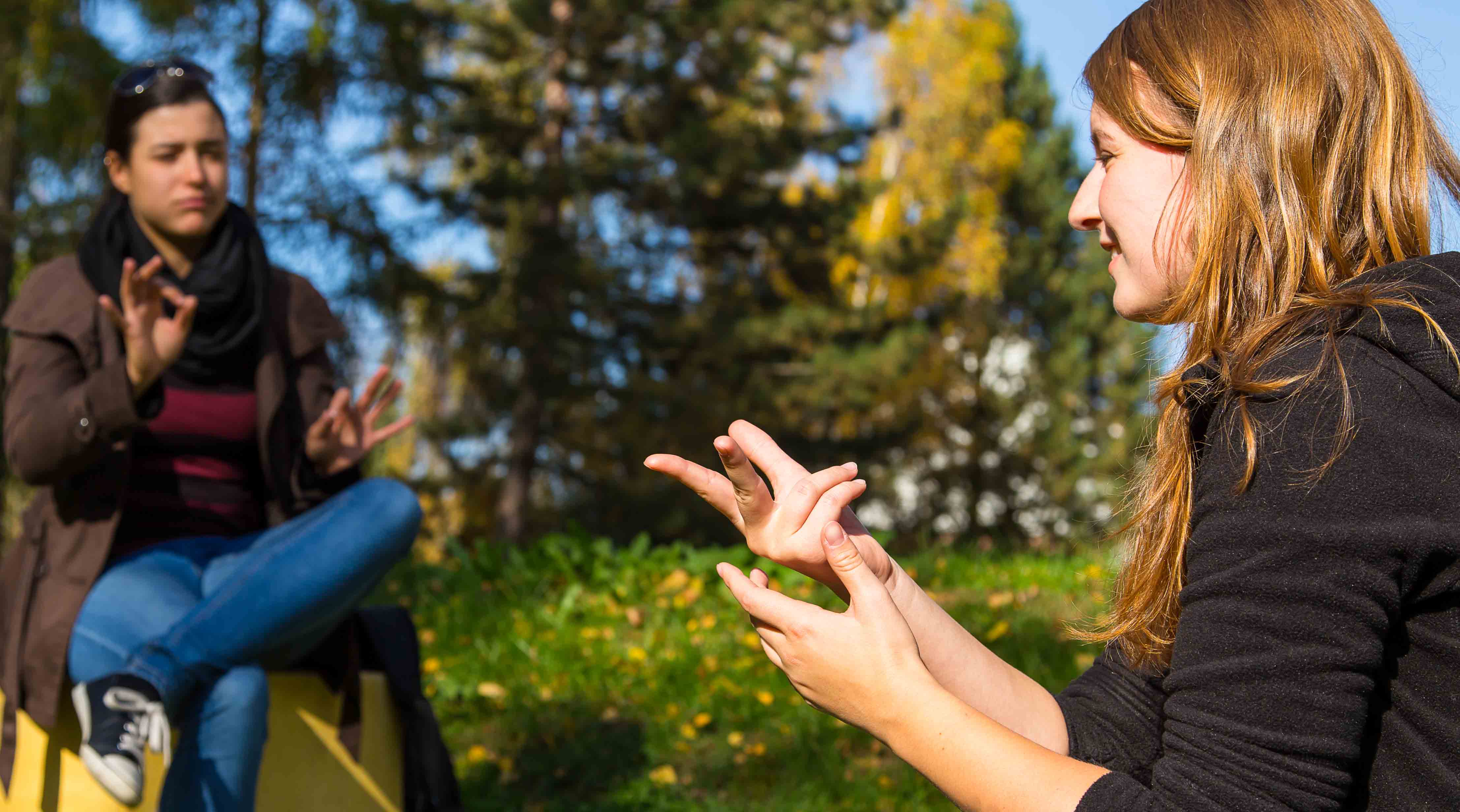 Sign Language Interpreting (German Diplom Degree)